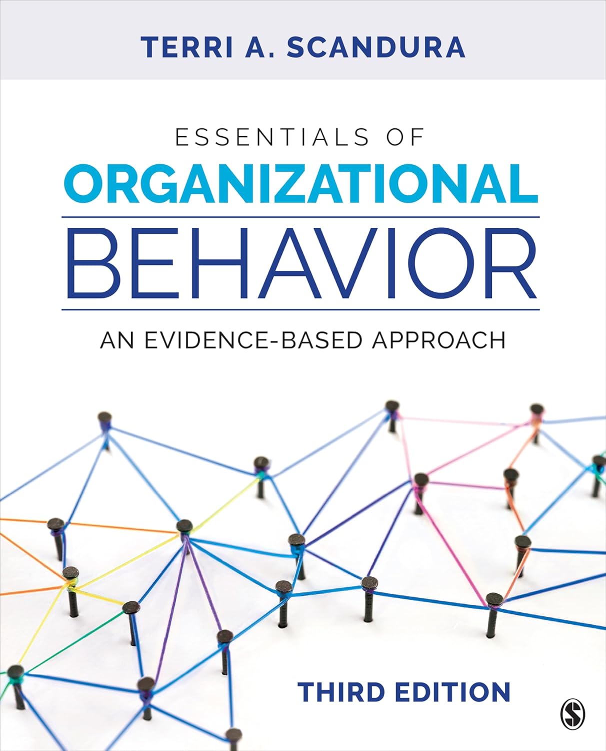 Essentials of Organizational Behavior An Evidence Based Approach 3rd Edition Essentials of Organizational Behavior An Evidence Based Approach 3rd Edition