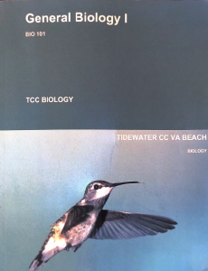General Biology 1st Edition By Mariëlle Hoefnagels